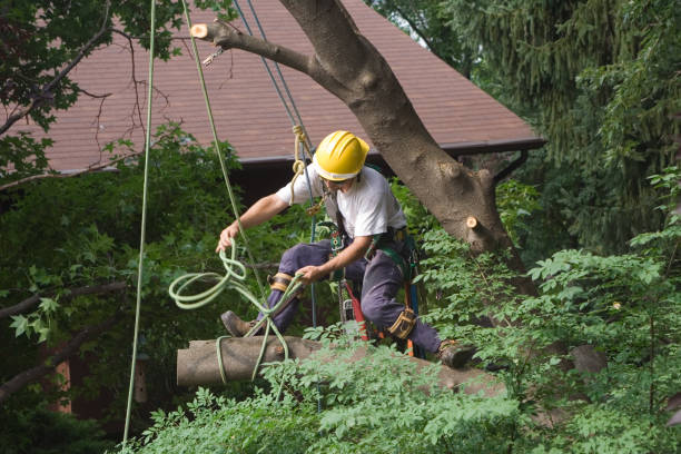 Best Weed Control  in Twin Lake, MI